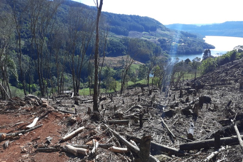 Foto: IAT/PARANÁ