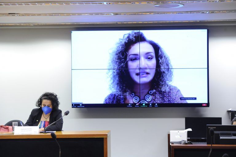 Vivi Reis presidiu a audiência, e Bruna Benevides participou por videoconferência - (Foto: Gustavo Sales/Câmara dos Deputados)