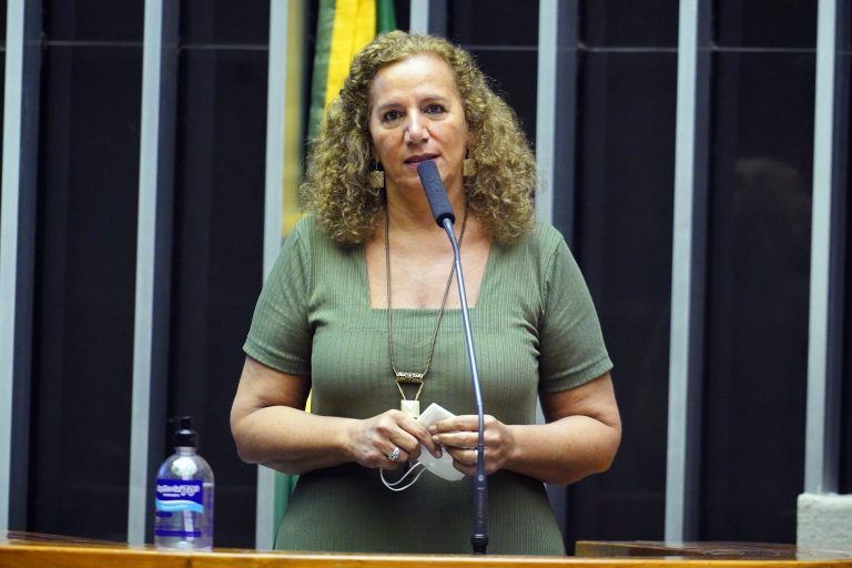 Feghali: a Lei Aldir Blanc precisa ser um parâmetro permanente - (Foto: Pablo Valadares/Câmara dos Deputados)