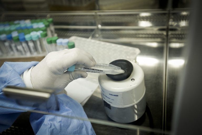 Sequenciamento genômico de variantes do coronavírus é feito em laboratórios públicos - (Foto: Breno Esaki/Agência Saúde DF)