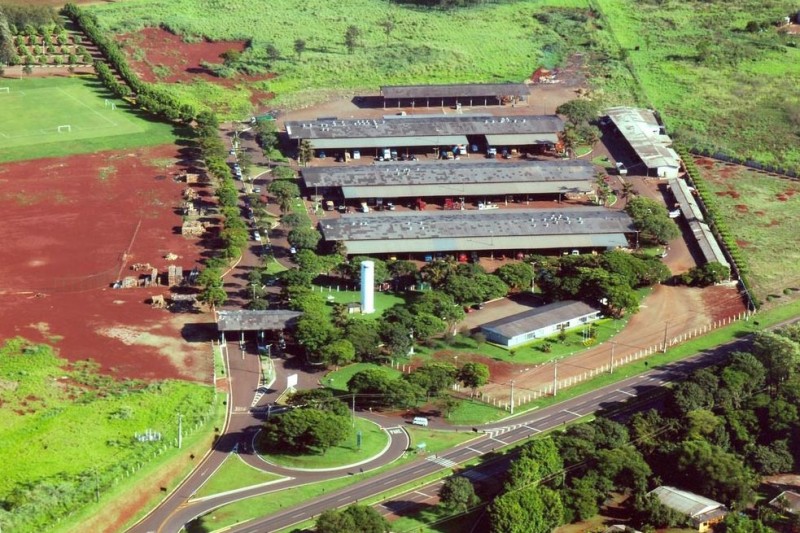 Foto: CEASA-PARANÁ