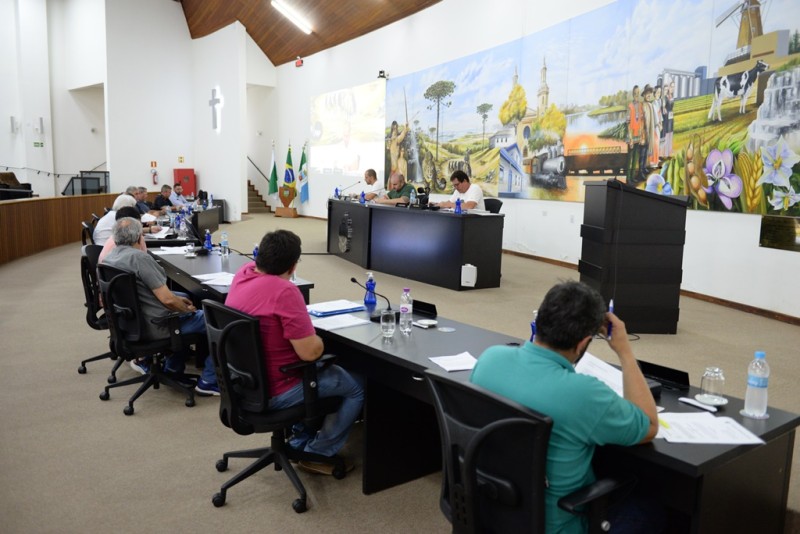 Foto: Reprodução/Câmara Municipal de Castro - PR