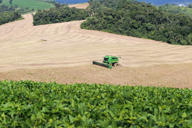 Foto: Reprodução/Secom Paraná