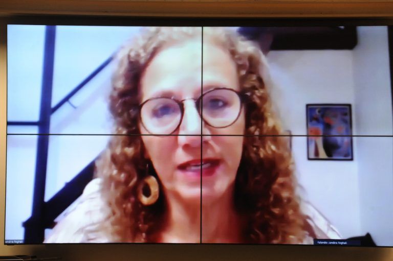 Jandira Feghali: pandemia evidenciou dependência do produto estrangeiro - (Foto: Gustavo Sales/Câmara dos Deputados)