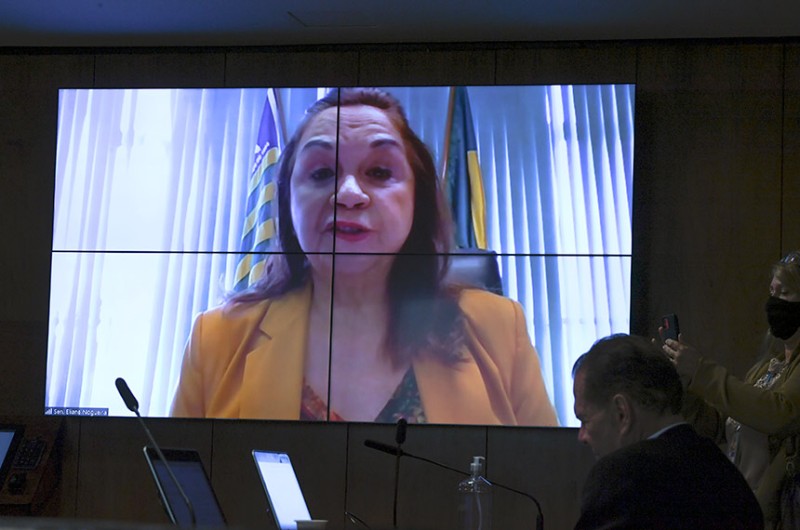 Eliane Nogueira: PMs e polícias civis poderão verificar se uma determinada arma está registrada ou não em nome de quem, durante abordagem policial, operações e investigações - Edilson Rodrigues/Agência Senado