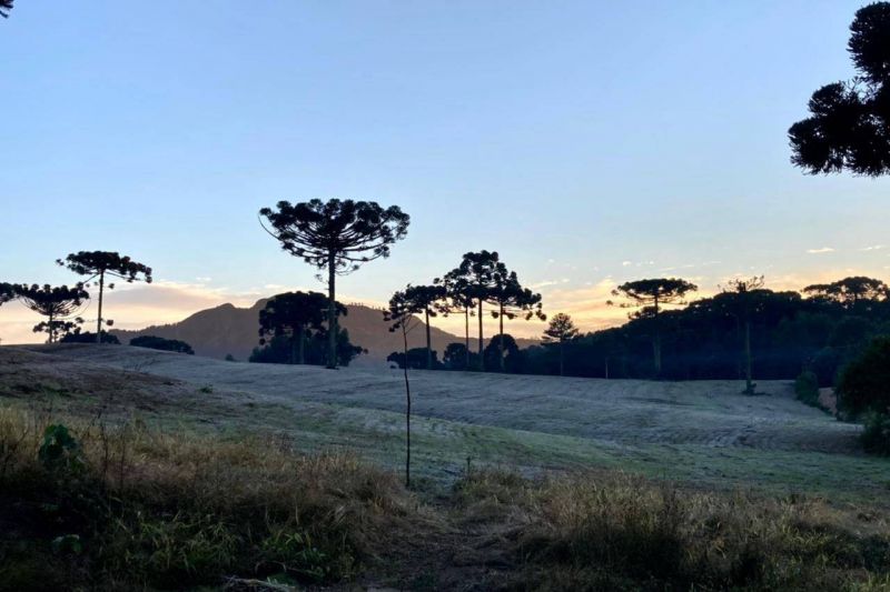 © Ana Tigrinho