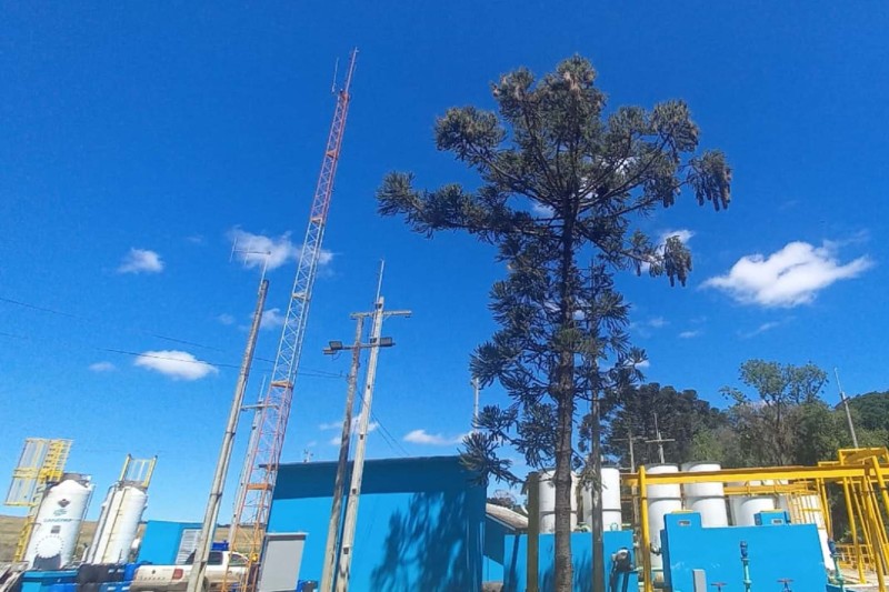 Foto: Reprodução/Secom Paraná