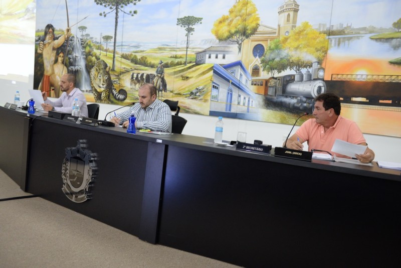 Foto: Reprodução/Câmara Municipal de Castro - PR