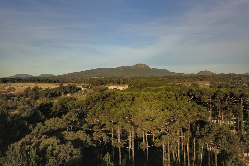 Foto: Reprodução/Secom Paraná