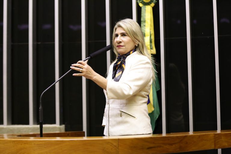 Edna Henrique: deficientes visuais têm dificuldade de acesso a aplicativos sobre entretenimento - (Foto: Arquivo/Câmara dos Deputados)
