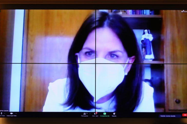 Carmen Zanotto: “Viola, também, o princípio da presunção de inocência - (Foto: Cleia Viana/Câmara dos Deputados)