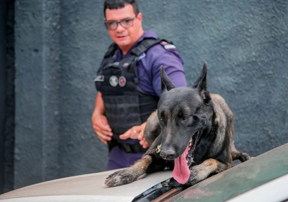 Cão Tyson, novo membro da Guarda Civil Municipal - Foto: Rafael Macri/ PMM