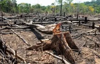O Amor ao Próximo: Estamos Realmente Cuidando do Presente para os Nossos Irmãos?
