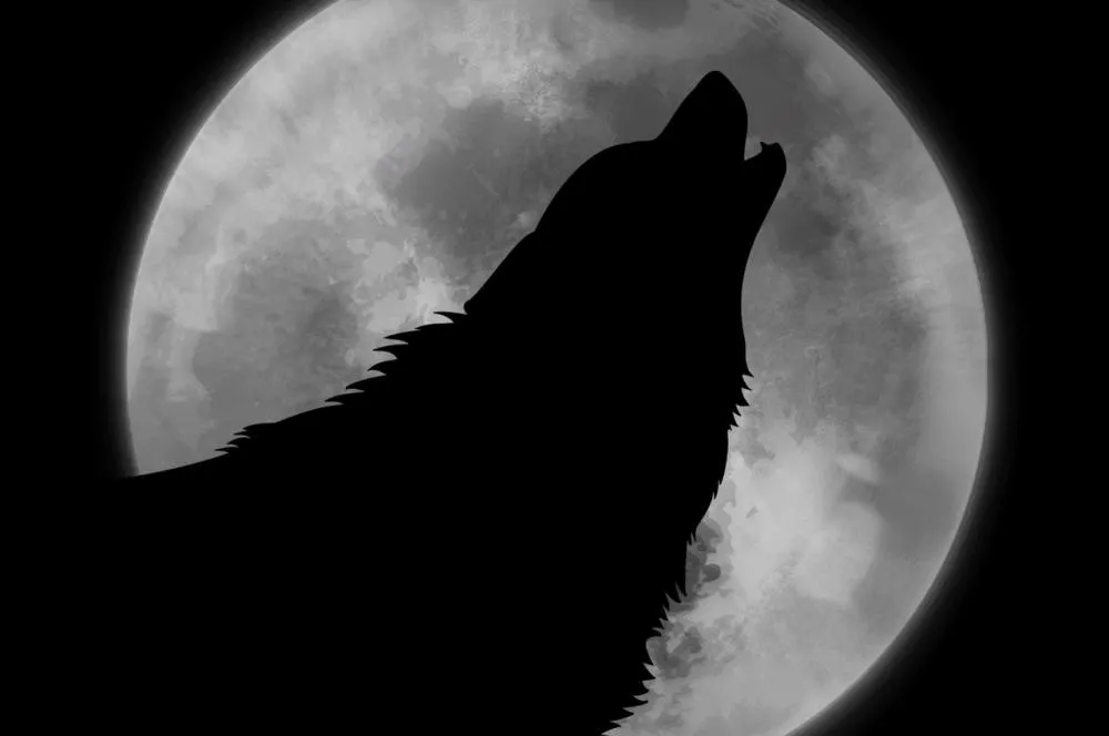 Foto: Pixabay