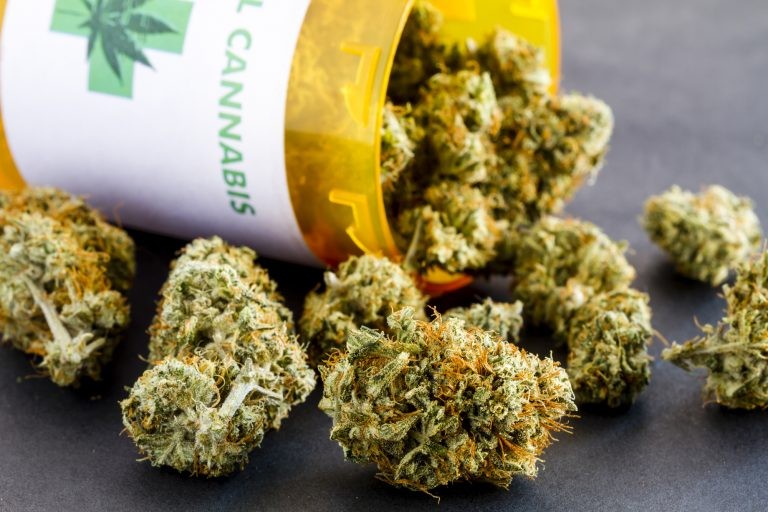 Da Cannabis também se produz a maconha e por isso o projeto causa polêmica - (Foto: TeriVirbickis/DepositPhotos)