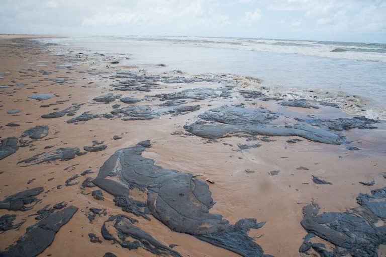 Em 2019, o litoral do Nordeste foi atingido por vazamento de petróleo - (Foto: Adema/Governo de Sergipe)