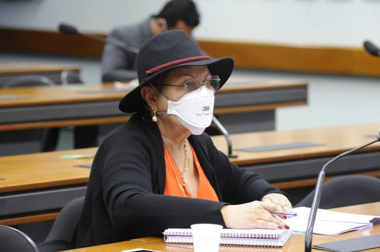 Tereza Nelma: objetivo é evitar que as mães sofram constrangimento - (Foto: Gustavo Sales/Câmara dos Deputados)