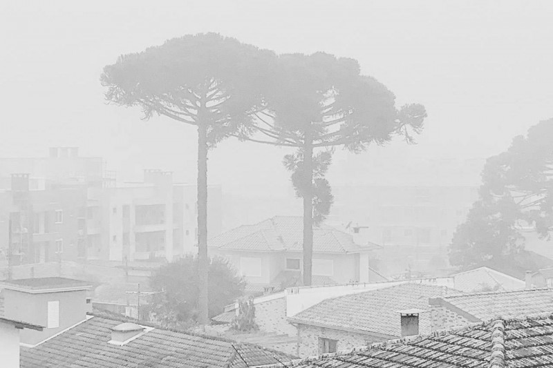 © Denis Ferreira Netto