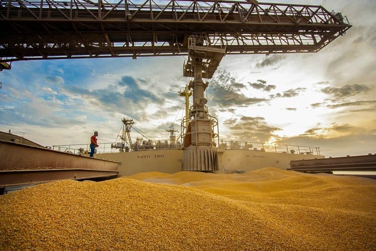 País vem batendo recordes na produção de milho, que está escasso para o mercado interno - (Foto: Cláudio Neves/Portos do Paraná)