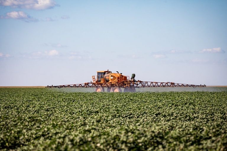 Setor agropecuário foi um dos afetados pela lei de 2017 - (Foto: Christiano Antonucci/Secom-MT)