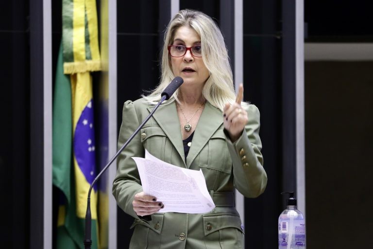 Texto aprovado é substitutivo da relatora, Dra. Soraya Manato - (Foto: Najara Araujo/Câmara dos Deputados)