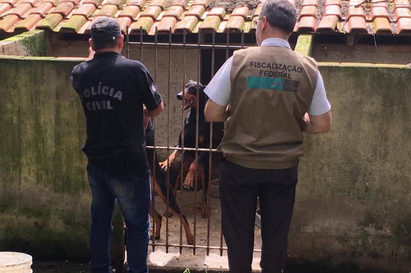© Polícia Civil do Paraná