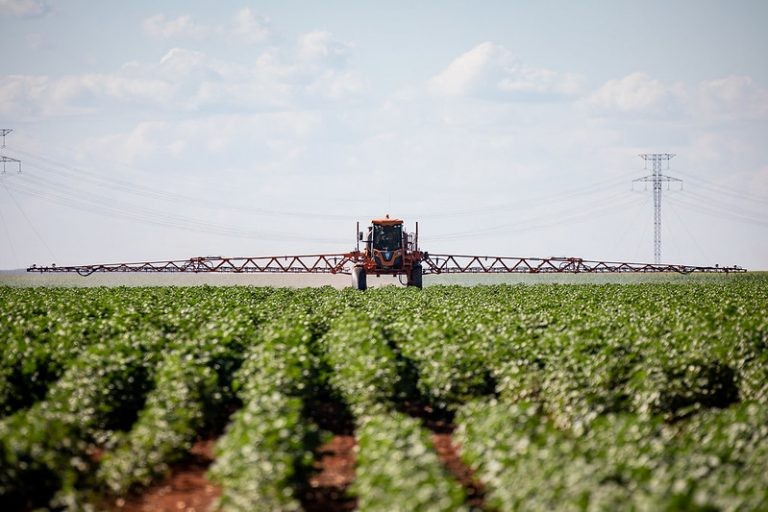 Novo modelo aproxima setor rural do mercado financeiro - (Foto: Christiano Antonucci/Secom-MT)