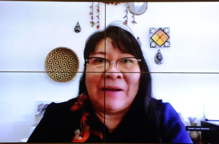 Joenia Wapichana: agentes indígenas atuam como articuladores - (Foto: Gustavo Sales/Câmara dos Deputados)