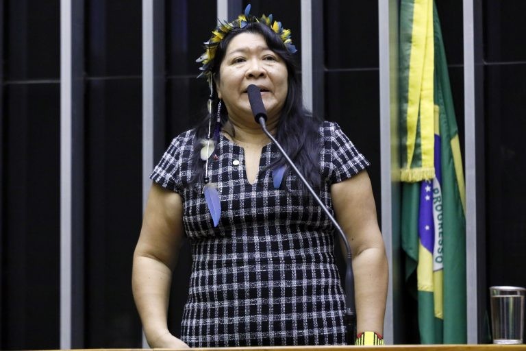 Joenia lamenta que já seja a terceira alteração nos limites do parque - (Foto: Cleia Viana/Câmara dos Deputados)