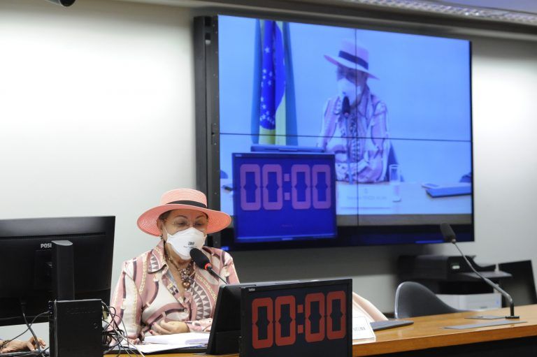 Para a deputada Tereza Nelma, pandemia mostrou que o País desconhece a situação dos idosos - (Foto: Gustavo Sales/Câmara dos Deputados)