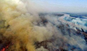 Incêndio florestal ocorrido em Mato Grosso do Sul - (Foto: Divulgação/Corpo de Bombeiros Militar de Mato Grosso do Sul)