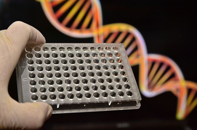 Serão convocados os parentes consanguíneos de grau mais próximo; na recusa, poderá haver presunção de paternidade - Stockphotos