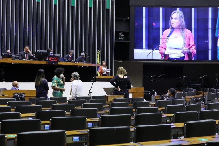 Sessão virtual do Plenário da Câmara dos Deputados - (Foto: Cleia Viana/Câmara dos Deputados)