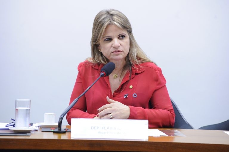 Flavia Morais recomendou a aprovação da proposta - (Foto: Cleia Viana/Câmara dos Deputados)