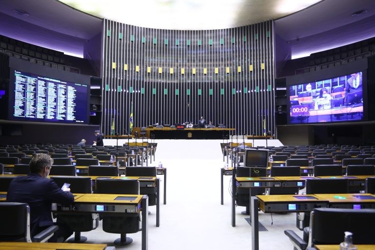 Sessão de votação é realizada remotamente por causa da pandemia - (Foto: Najara Araujo/Câmara dos Deputados)