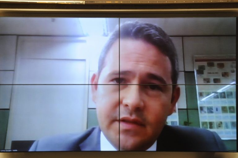 Carlos Goulart: existe risco para as próximas safras - (Foto: Gustavo Sales/Câmara dos Deputados)