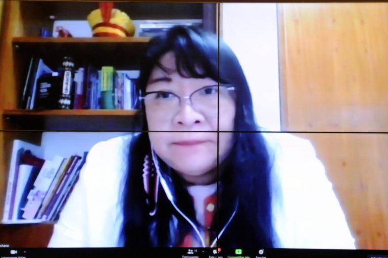 Joenia Wapichana alertou para situação crítica dos povos indígenas, que já somam 1039 mortos por Covid-19 - (Foto: Gustavo Sales/Câmara dos Deputados)