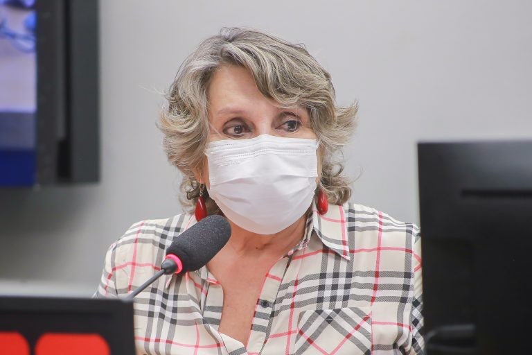 Erika Kokay criticou a privatização: 