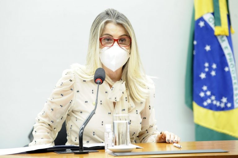 Dra. Soraya Manato optou pela apresentação de substitutivo - (Foto: Gustavo Sales/Câmara dos Deputados)