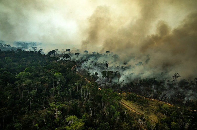 Victor Moriyama/Greenpeace