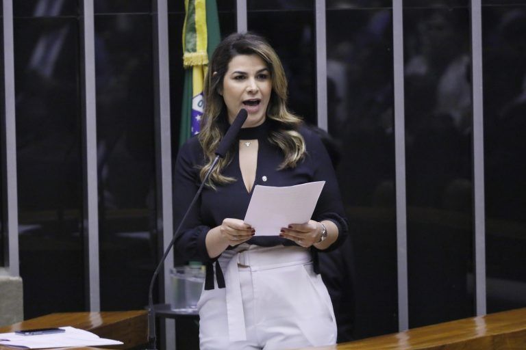 Marina Santos quer evitar que os animais fiquem em ambientes sem ventilação - (Foto: Luis Macedo/Câmara dos Deputados)