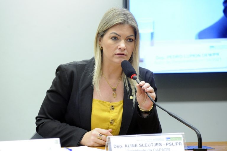Para Aline Sleutjes, a medida é importante para impulsionar a economia rural - (Foto: Cleia Viana/Câmara dos Deputados)
