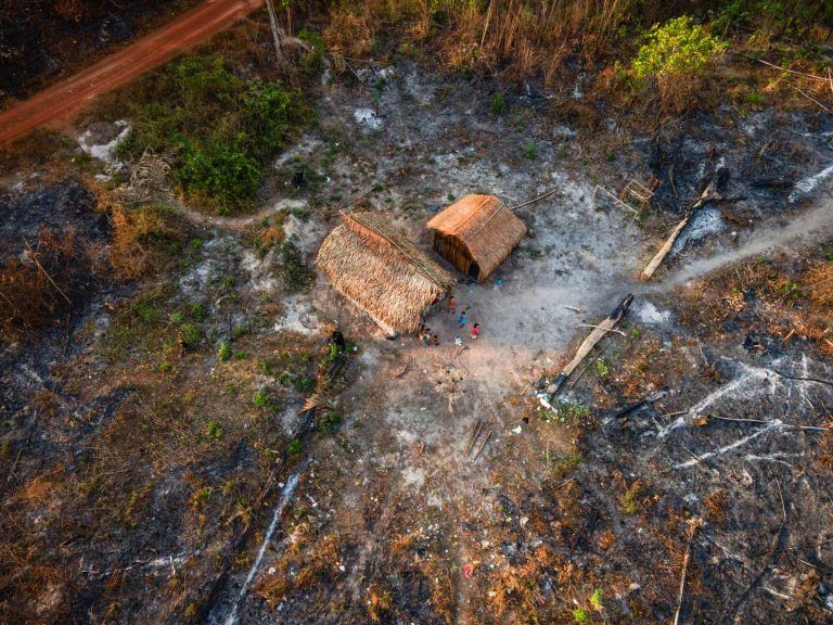 No Pará, a Terra Indígena Alto Rio Guamá sofreu com incêndios florestais e viu o desmatamento crescer em meio à pandemia - (Foto: Cícero Pedrosa Neto/Amazônia Real)