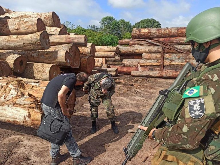 Operação Handroanthus apreendeu madeira ilegal no Amazonas - (Foto: Polícia Federal)