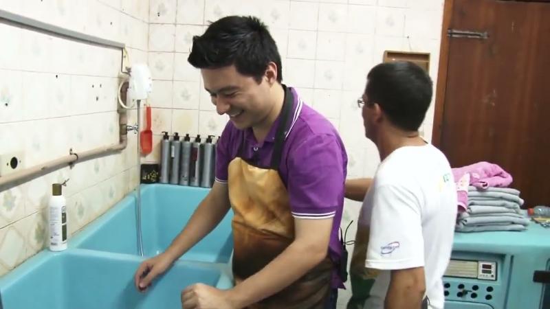 Vídeo